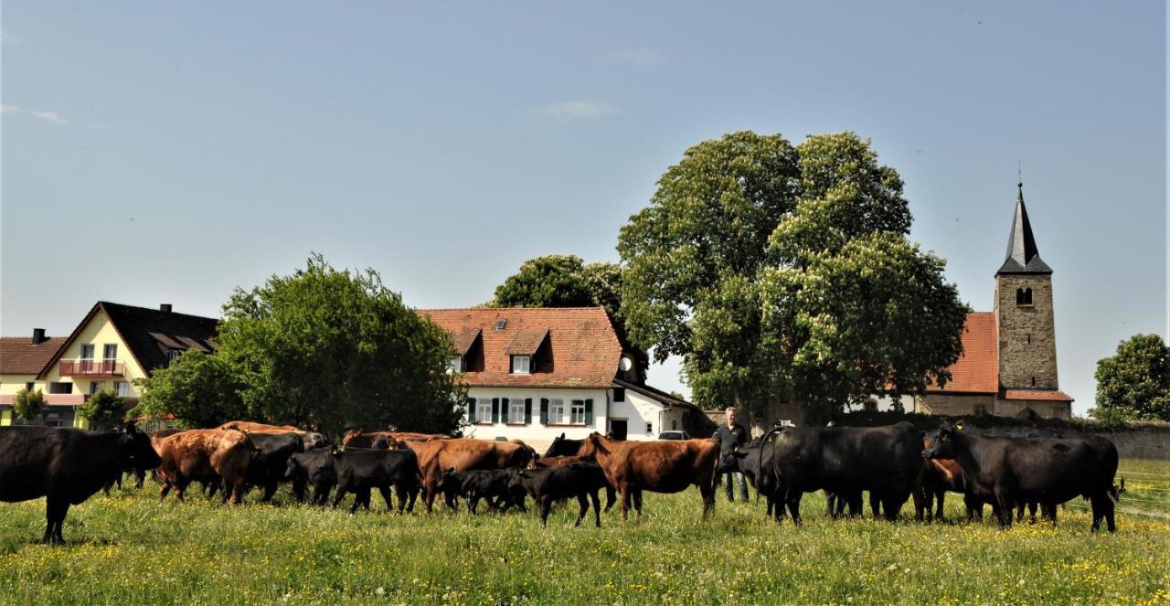 Schaefer'S Ferienhof Michaelsberg Gundelsheim  ภายนอก รูปภาพ