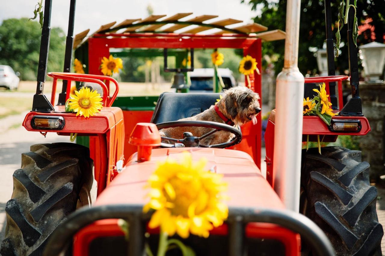 Schaefer'S Ferienhof Michaelsberg Gundelsheim  ภายนอก รูปภาพ